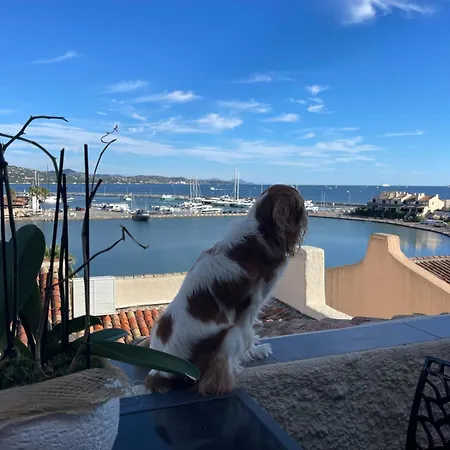 شقة Superbe Triplex Vue Panoramique Sur Saint-tropez