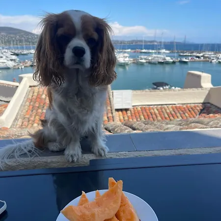 Superbe Triplex Vue Panoramique Sur Saint-tropez كوغولين