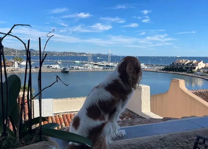 Appartement Superbe Triplex Vue Panoramique Sur Saint-tropez